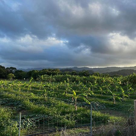 Maleka Farm: Tent Glamping North Shore Oahu Laie Luaran gambar