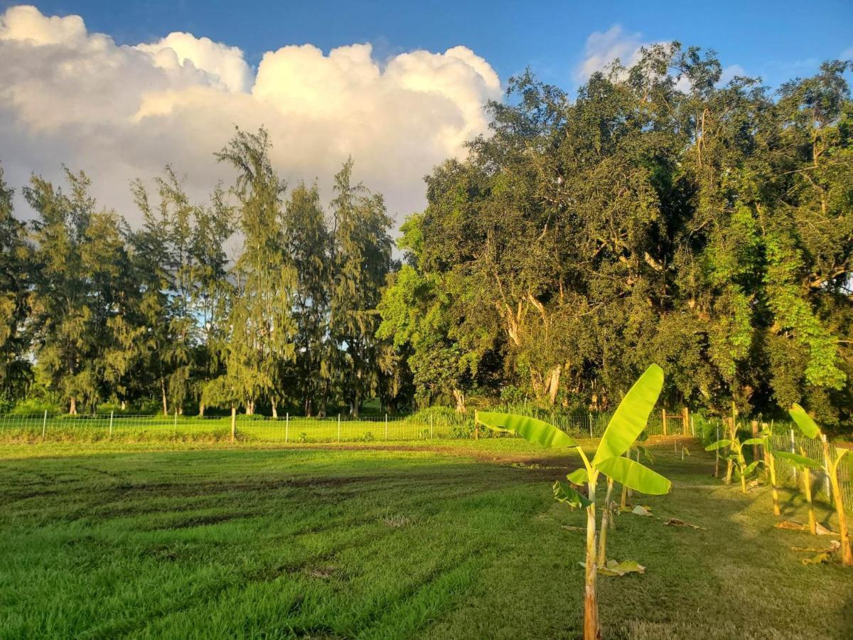 Maleka Farm: Tent Glamping North Shore Oahu Laie Luaran gambar